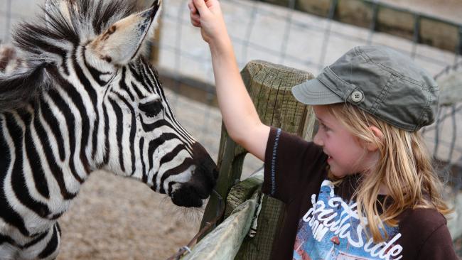 Living Treasures Animal Park