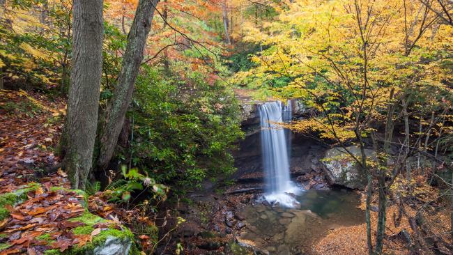 Cucumber Falls