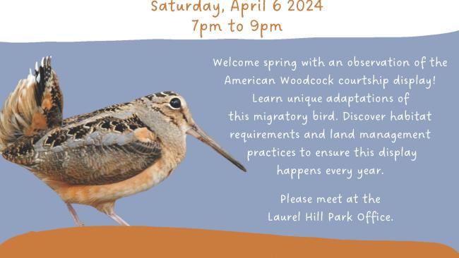 Laurel Hill State Park will host a woodcock walk from 7-9 p.m. on Saturday, April 6.