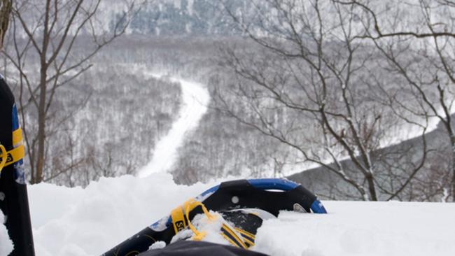 Snowshoeing in the Laurel Highlands