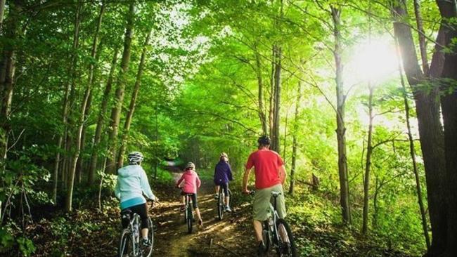 Pittock Conservation Area Cycling