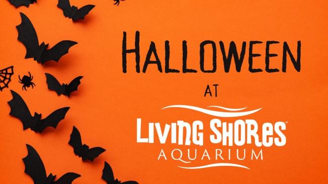 Living Shores Aquarium - Halloween