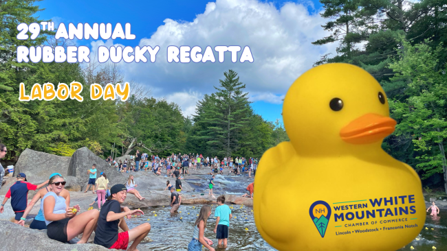 Promo Image of Rubber Ducky Regatta