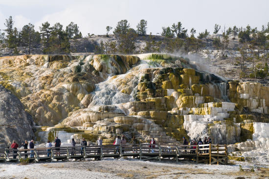 Yellowstone Thermal Terrace
