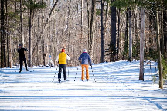 Couple cross country skiing at reforestation camp trail