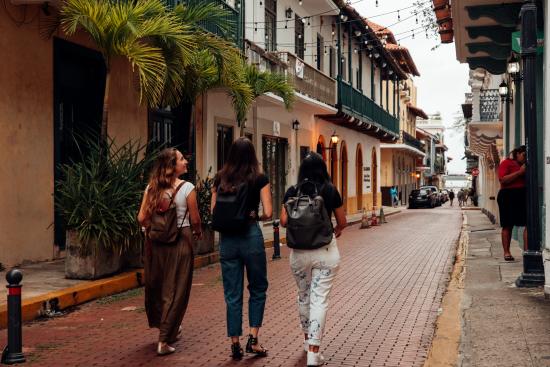 Tree friends walking on the alleys of Casco Antiguo