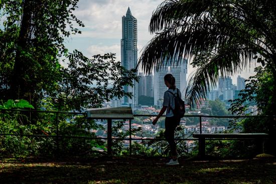 The image shows a woman viewing a city skyline through a frame of lush green trees. The city appears to be in the distance, with tall buildings visible against a blue sky. The foreground is dominated by dense foliage, creating a dark and mysterious contrast with the bright city scene.