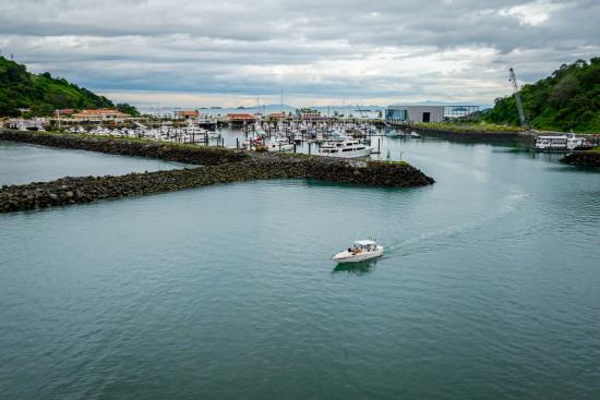 Aerial View of Amador Marina. Boat departing.