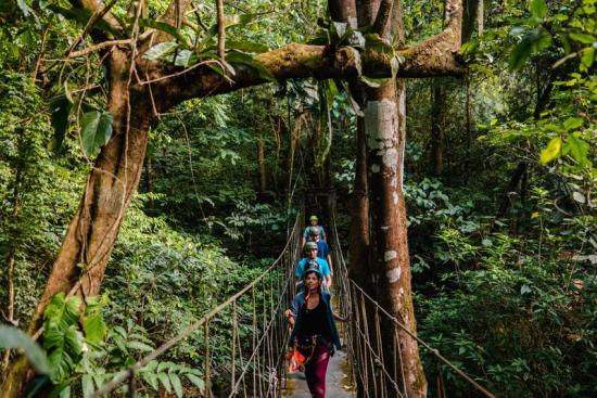 A party of individuals is traversing a rope bridge nestled among the trees in El Valle de Anton.