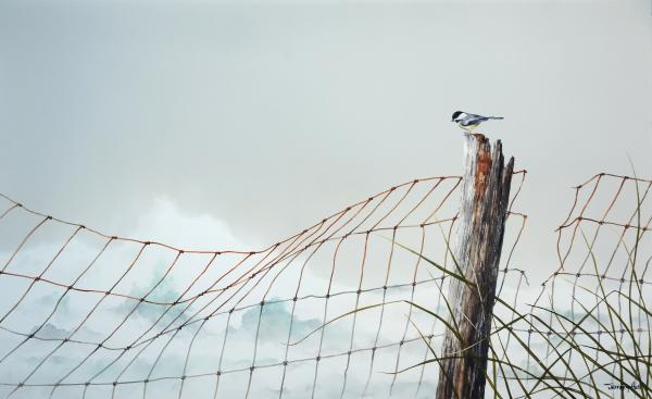 "On The Fence"