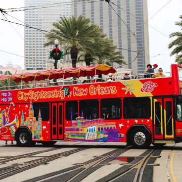 City Sightseeing Hop-On Hop-Off Bus