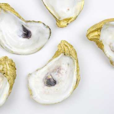 I Do Krewe Gilded Oysters