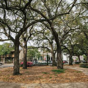 Washington Square Park- Marigny