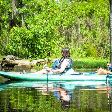 A Kayak Swamp Tour