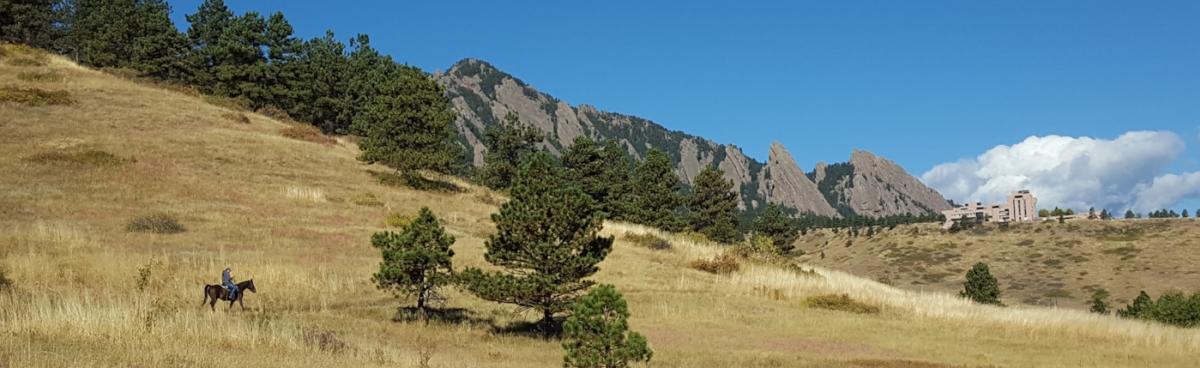 Horseback Riding South Boulder