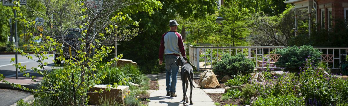 Man Walking Boulder Neighborhood