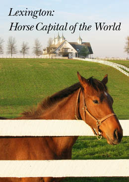 Horse Capital
