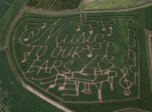 Flinchbaugh's corn maze 2023