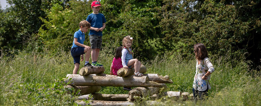 Children playing on logs 