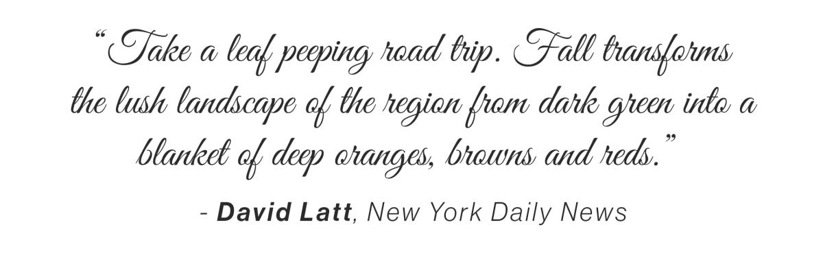 Fall Quote - New York Daily News