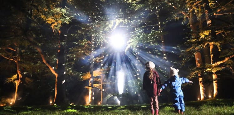 Westonbirt Enchanted Christmas (photo Paul Box)
