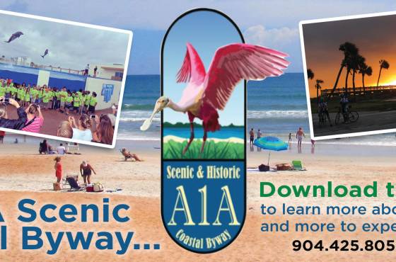 Explore the A1A Scenic Byway
