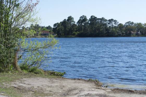 Bird of Paradise Preserve