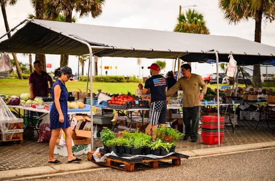 Flagler Beach Farmer's Market