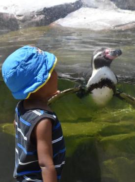 Akron Zoo