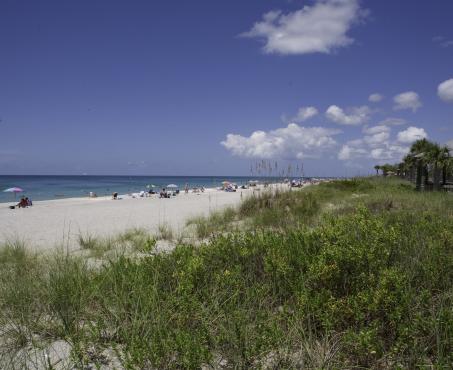 Beach and Water Sports