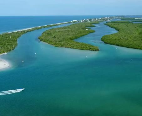 Click for the Pure Florida Sports Brochure