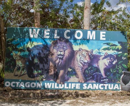 Octagon Wildlife Sanctuary