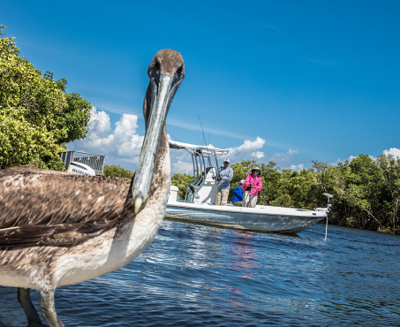 Calendar of Events Punta Gorda Port Charlotte Englewood Calendar of Events Punta Gorda Port Charlotte Englewood