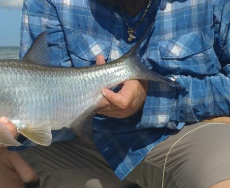 Celebrating the Mighty Tarpon in Punta Gorda/Englewood Beach