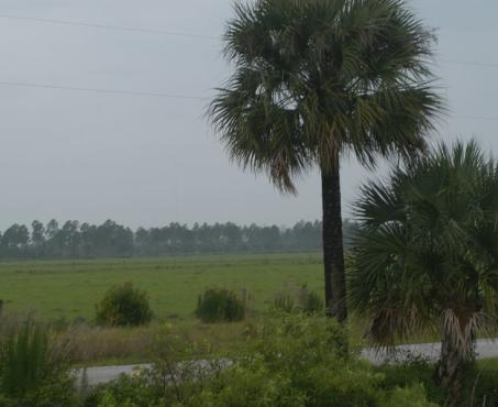 Babcock/Webb Wildlife Management Area