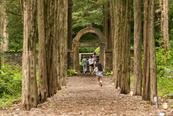 Caramoor