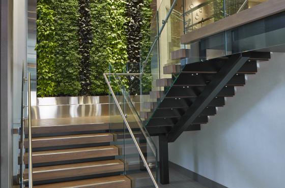 Entrance/Living Wall