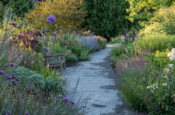 Perennial Border