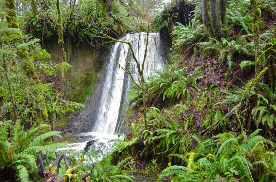 Coal Creek Trail Waterfall