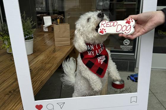 The Redd Dog Selfie