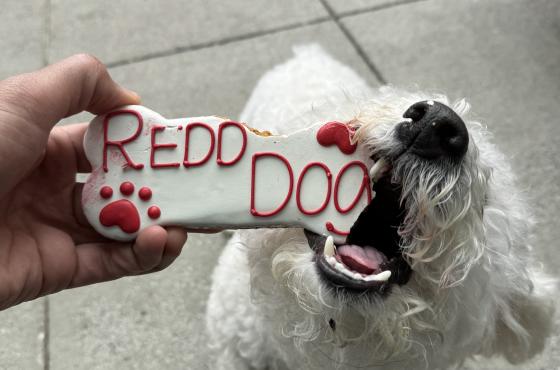 The Redd Dog Treat