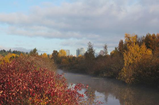 Mercer Slough Canal in Fall