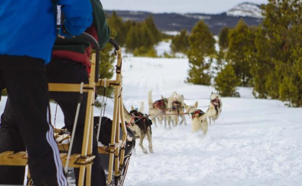 dog sledding at snow mountain ranch