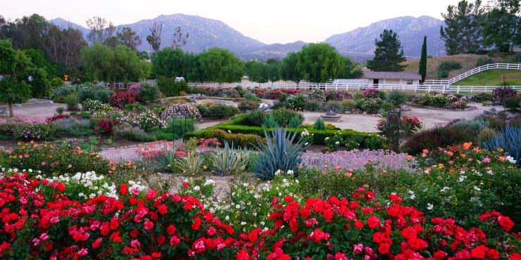Temecula Valley Offers Visitors A Variety Of Hidden Gems To Discover