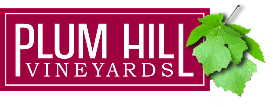 plum-hill-logo