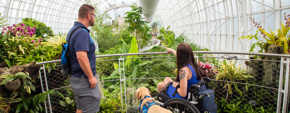 A couple standing on a balcony in the Crystal Bridge