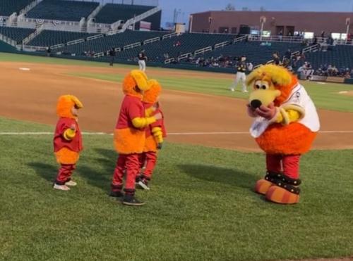 May 1, 2022 St Louis Cardinals - Fleece Blanket - Stadium Giveaway Exchange