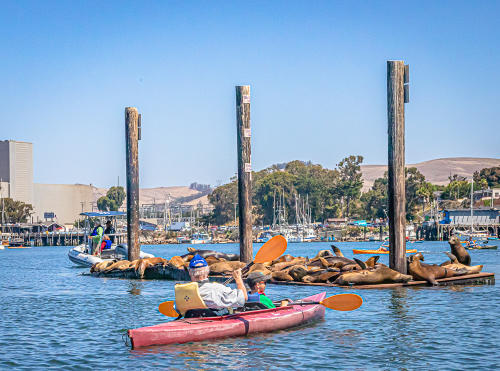 Morro Bay weekend: A kayaking getaway