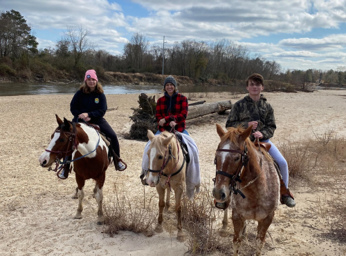 Bogue Chitto Horse Rentals at Bogue Chitto State Park in Franklinton