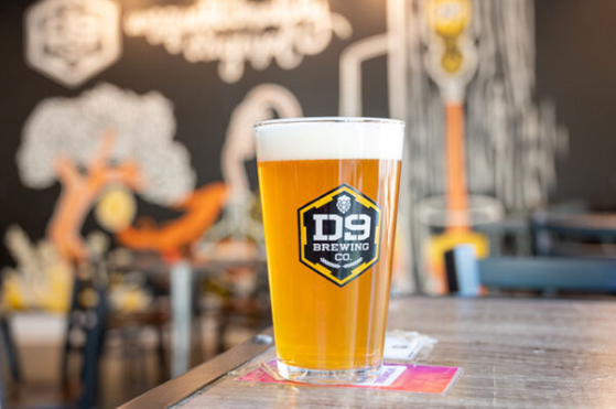 A pint from D9 Brewing